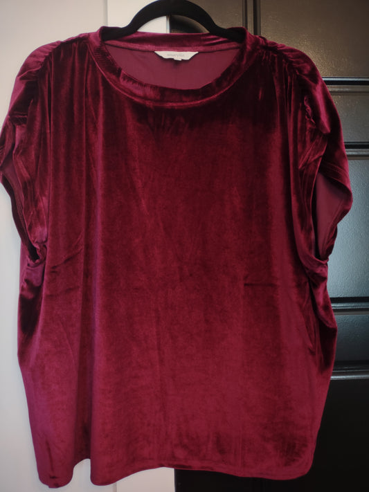 Burgundy Velvet Top